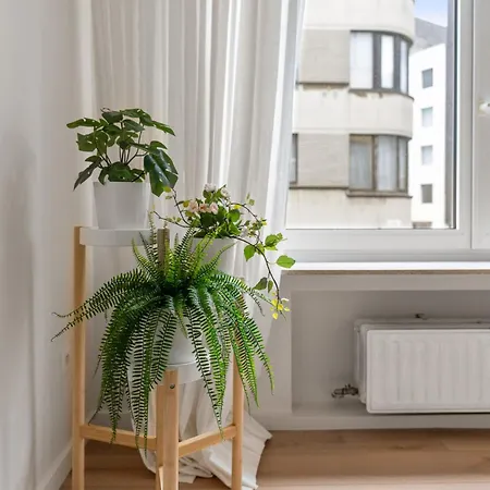 Petite * Ostende